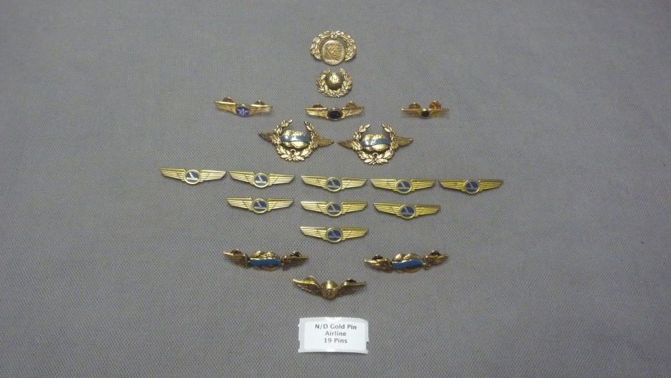 nd gold pin airline 19 pins.jpg
