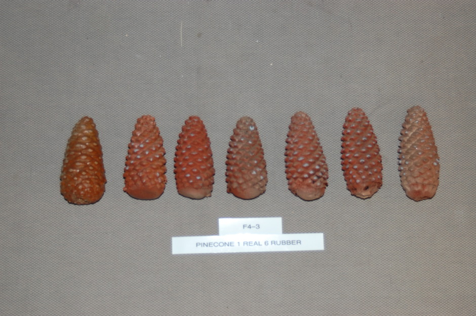 pinecone 1 real 6 rubber f4-3.jpg